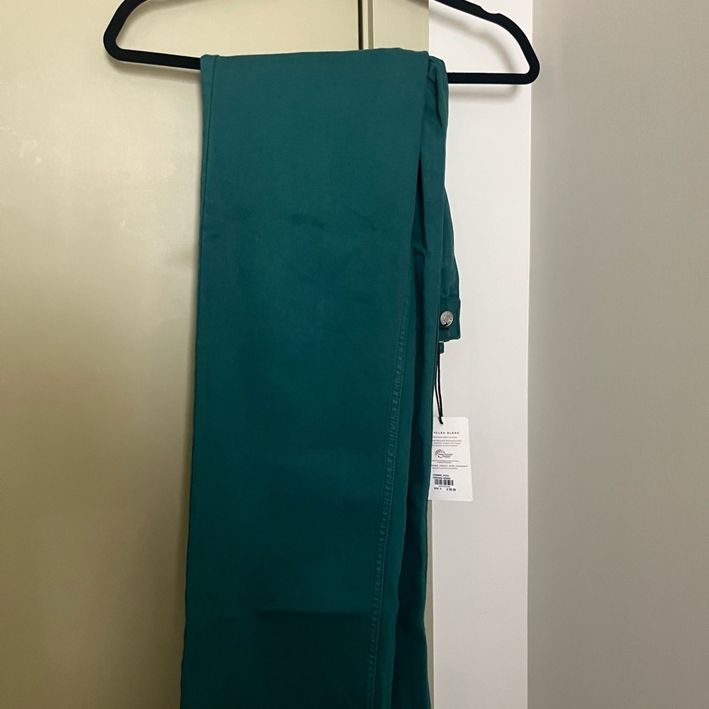 BRAND NEW glassons green pants